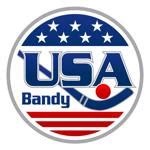 usa bandy|About Bandy.
